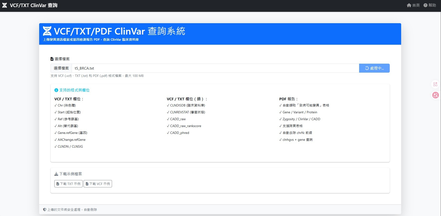 處理進度與結果